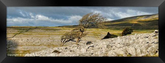 Twistleton Scar  Yorkshire Dales Panoramic Framed Print by Diana Mower