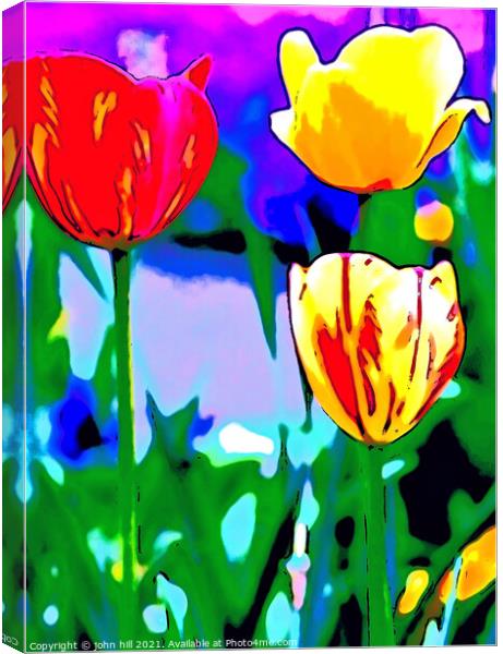 Abstract painting of Tulips Canvas Print by john hill
