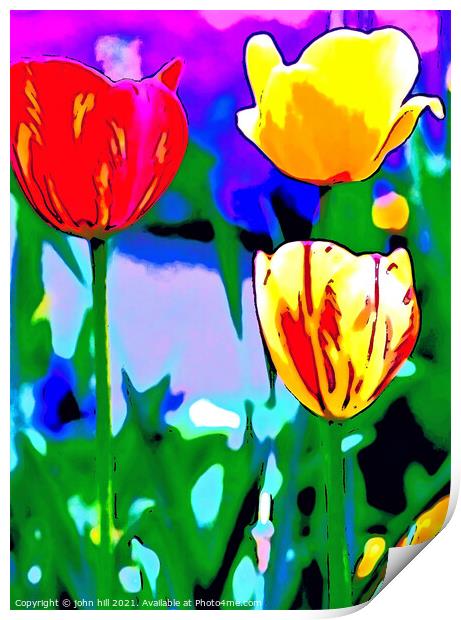 Abstract painting of Tulips Print by john hill