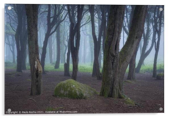 Fog in the forest Acrylic by Paulo Rocha