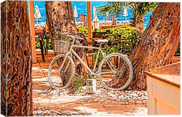 Silver Cycle Canvas Print by Valerie Paterson