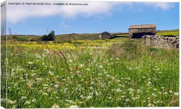 Wildflower Meadow in Yorkshire Dales Countryside Canvas Print by Pearl Bucknall