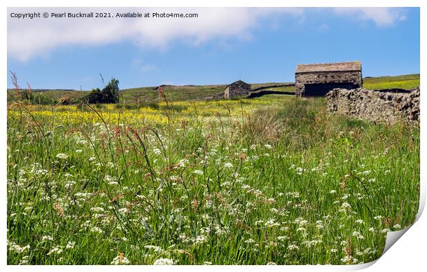 Wildflower Meadow in Yorkshire Dales Countryside Print by Pearl Bucknall