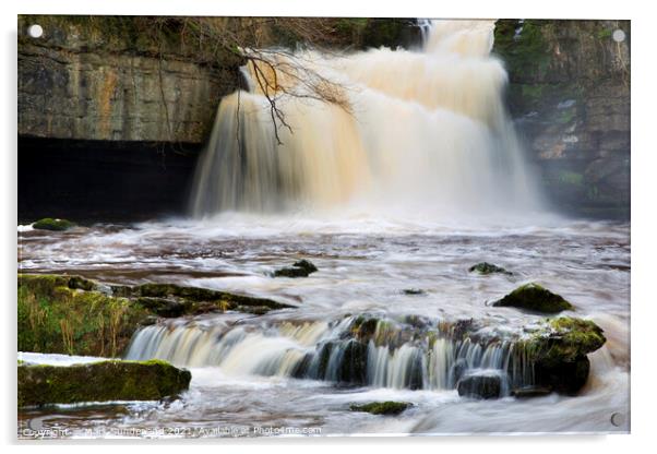 West Burton Waterfall in Wensleydale Acrylic by Mark Sunderland