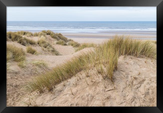 Overlooking the sand dunes onto Formby beach Framed Print by Jason Wells