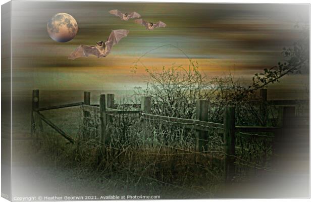 Enter the Night Patrol Canvas Print by Heather Goodwin