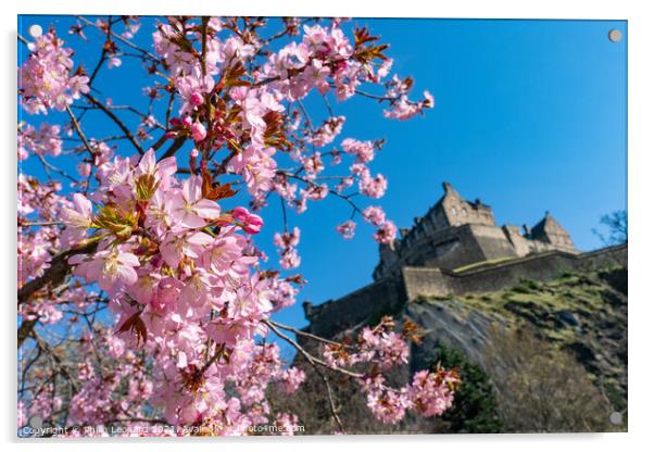 Edinburgh Castle behind with Spring Blossom in Princes Street Gardens. Acrylic by Philip Leonard