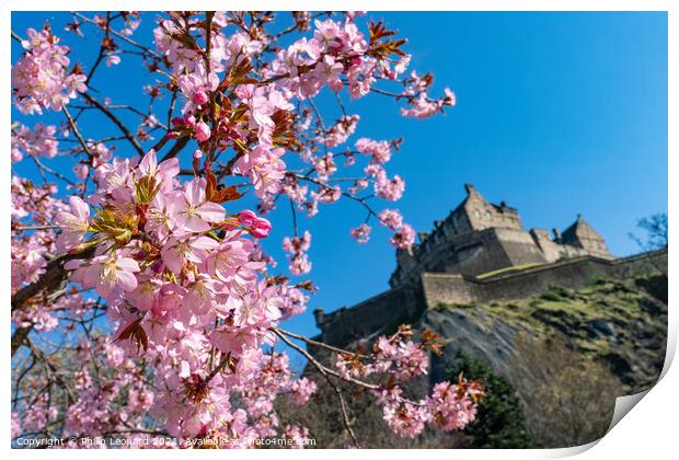Edinburgh Castle behind with Spring Blossom in Princes Street Gardens. Print by Philip Leonard