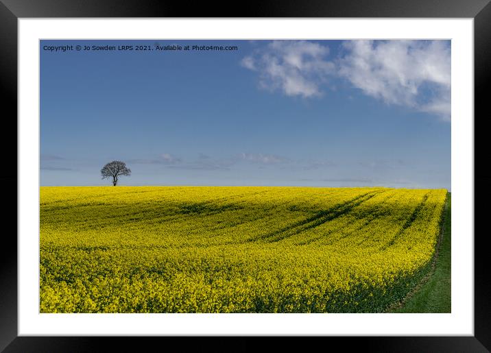 Rapeseed Field, Hertfordshire Framed Mounted Print by Jo Sowden