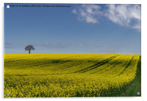 Rapeseed Field, Hertfordshire Acrylic by Jo Sowden