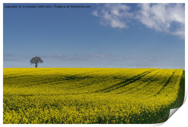 Rapeseed Field, Hertfordshire Print by Jo Sowden