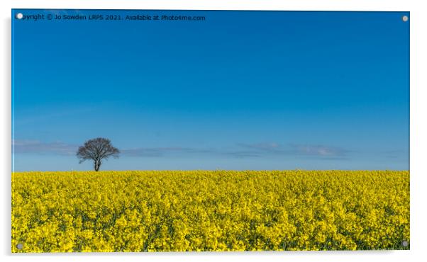 Rapeseed in the sun Acrylic by Jo Sowden