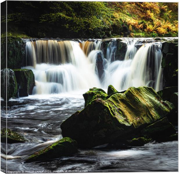 Nelly Ayre force in the Yorkshire moors near Goathland 487 Canvas Print by PHILIP CHALK