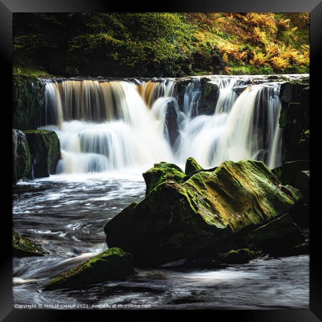 Nelly Ayre force in the Yorkshire moors near Goathland 487 Framed Print by PHILIP CHALK