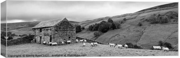 Swaledale Yorkshire dales far and sheep black and white Canvas Print by Sonny Ryse