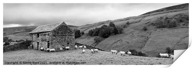 Swaledale Yorkshire dales far and sheep black and white Print by Sonny Ryse
