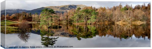 Tarn Hows Lake district Canvas Print by Sonny Ryse