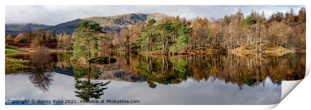 Tarn Hows Lake district Print by Sonny Ryse