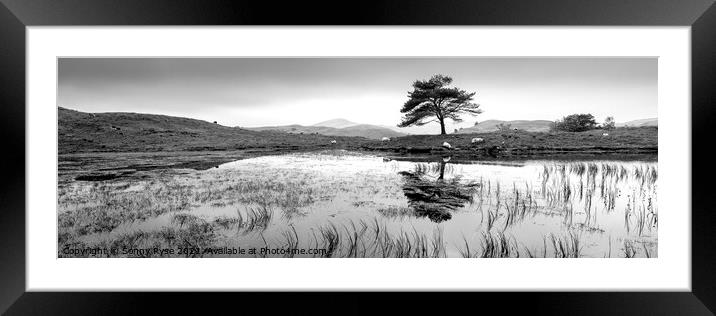 Kelly Hall Tarn Lake district black and white Framed Mounted Print by Sonny Ryse