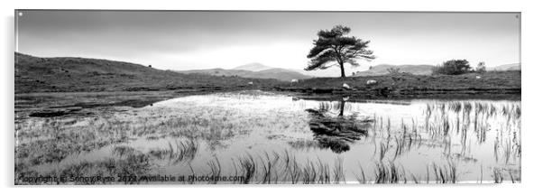 Kelly Hall Tarn Lake district black and white Acrylic by Sonny Ryse