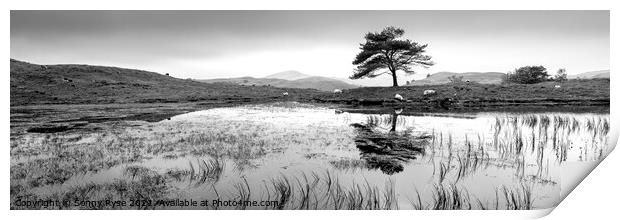 Kelly Hall Tarn Lake district black and white Print by Sonny Ryse