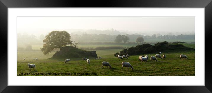 Yorkshire Dales Sheep Framed Mounted Print by Sonny Ryse
