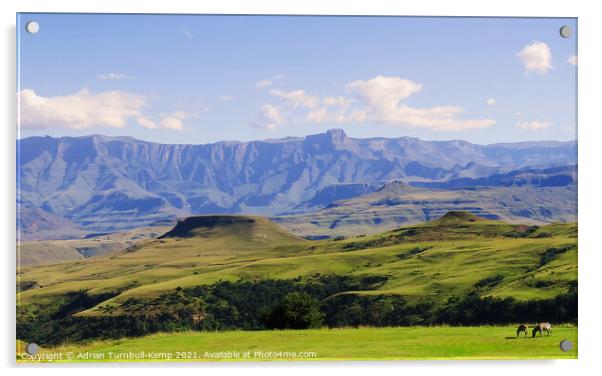 Amphitheatre and foothills, Northern Drakensberg, Kwazulu Natal Acrylic by Adrian Turnbull-Kemp