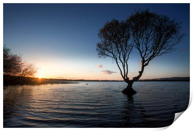 Sunset at Kenfig pool Print by Leighton Collins