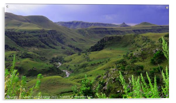 Dramatic Bushman's River Valley, Northern Drakensberg, Kwazulu Natal Acrylic by Adrian Turnbull-Kemp