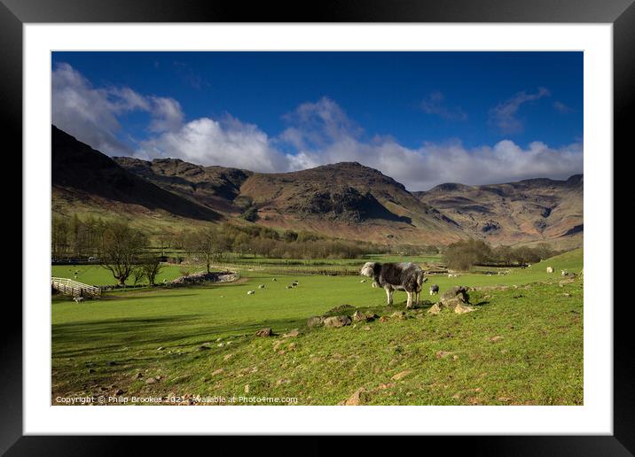 Pike o' Blisco and Langdale Valley Pasture Framed Mounted Print by Philip Brookes