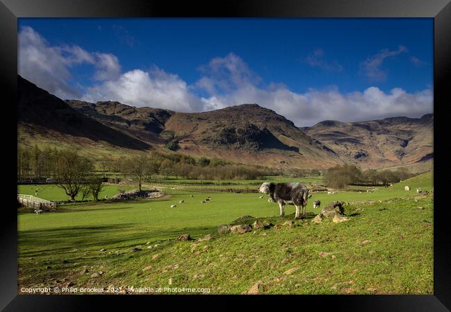Pike o' Blisco and Langdale Valley Pasture Framed Print by Philip Brookes