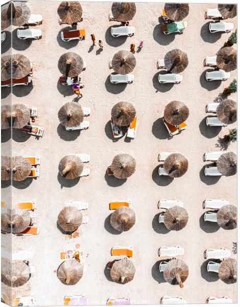 Beach Print, Aerial Beach Umbrellas, Bondi Beach Canvas Print by Radu Bercan