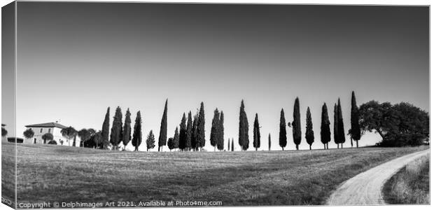 Tuscan panorama black and white, Tuscany Canvas Print by Delphimages Art
