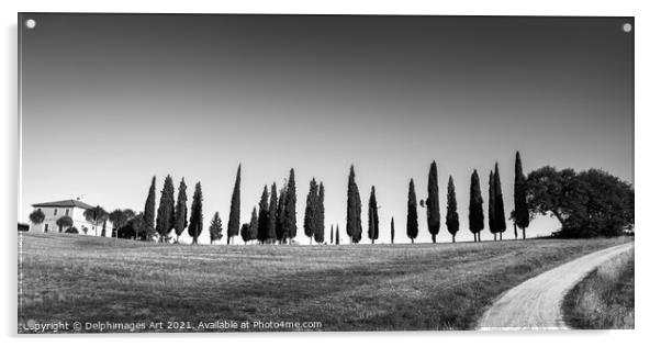 Tuscan panorama black and white, Tuscany Acrylic by Delphimages Art