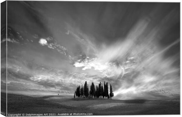 Tuscan landscape. Cypress trees cluster Canvas Print by Delphimages Art