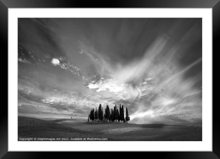 Tuscan landscape. Cypress trees cluster Framed Mounted Print by Delphimages Art