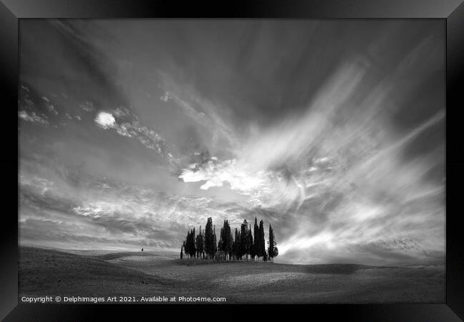 Tuscan landscape. Cypress trees cluster Framed Print by Delphimages Art