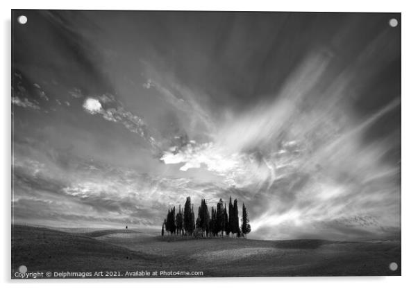 Tuscan landscape. Cypress trees cluster Acrylic by Delphimages Art