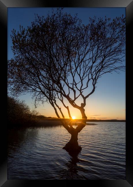 Kenfig pool sunset Framed Print by Leighton Collins