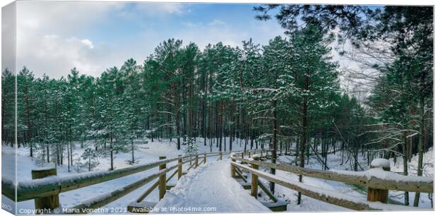 Wooden path among snowy pine trees forest Canvas Print by Maria Vonotna