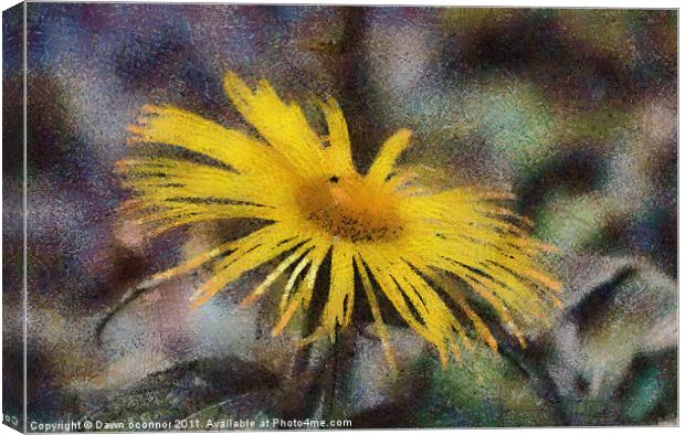 Yellow Daisy in Pastel Canvas Print by Dawn O'Connor