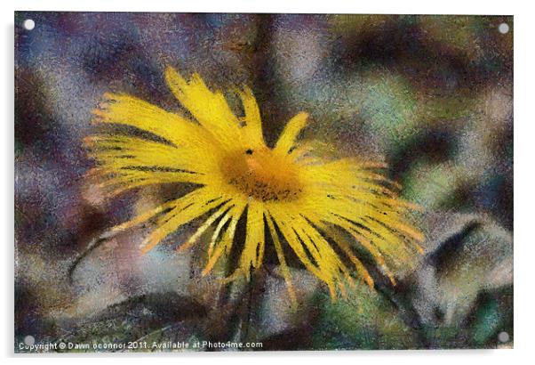 Yellow Daisy in Pastel Acrylic by Dawn O'Connor