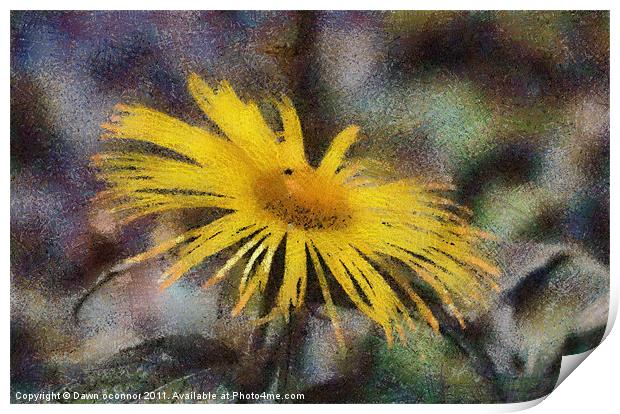 Yellow Daisy in Pastel Print by Dawn O'Connor