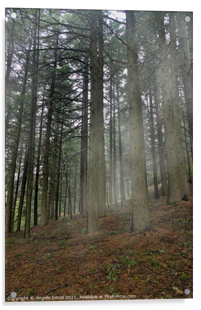 Forest in Covilha Mountains with Fog Acrylic by Angelo DeVal