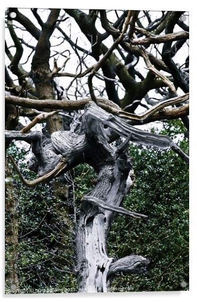 Abstract Tree Acrylic by craig hopkins