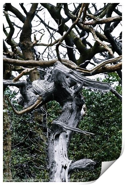 Abstract Tree Print by craig hopkins