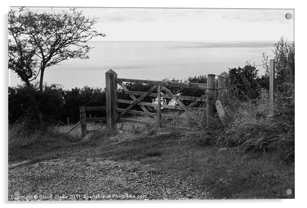 Gate, Gobbins Path, Islandmagee, Northern Ireland Acrylic by Claire Clarke