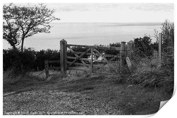 Gate, Gobbins Path, Islandmagee, Northern Ireland Print by Claire Clarke