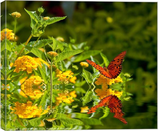 Red Monarch on Yellow Lantana Wings Spread Canvas Print by Darryl Brooks