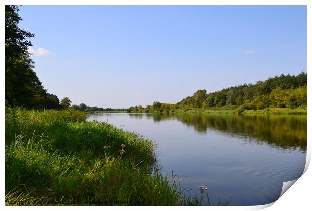 Peaceful Narew river. Poland Print by Paulina Sator